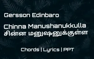 Chinna Manushanukkulla